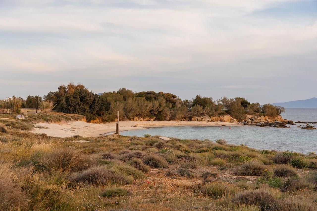 Villa Nausicaa Kastraki Naxos Naxos City Zewnętrze zdjęcie